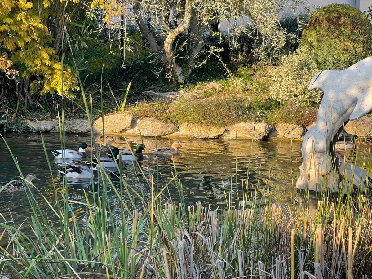 Studio Les Petits Lutins Entraigues-sur-la-Sorgue Eksteriør bilde
